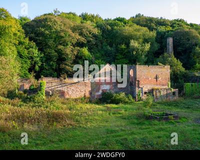 Alte, verlassene Mühle und Batteriewerke, Greenfield Valley, Holywell, Flintshire, Wales Stockfoto