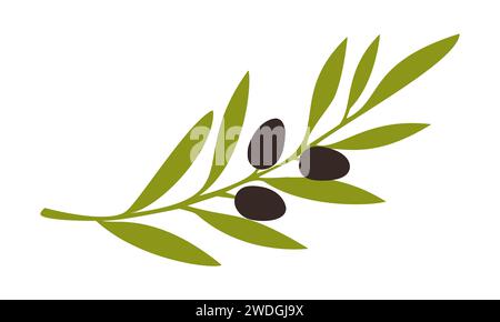 Oliven Frucht dunkel auf Zweig, Symbol, Logo, isoliert auf weißem Hintergrund. Vektorabbildung Stock Vektor