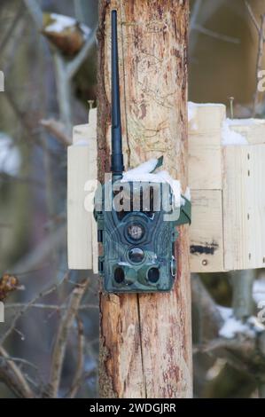 Kamerafalle nahe des hohen Sitzes für Jäger und Wildhüter im Wald. Tschechische republik Natur. Stockfoto