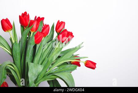 A bouquet with red tulip flowers on white background  Stockfoto