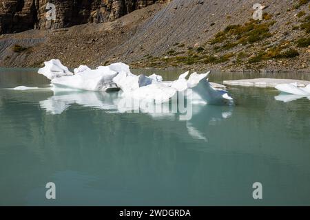 Eisberge schwimmen an einem wunderschönen Nachmittag im Upper Grinnell Lake im Glacier National Park montana. Stockfoto