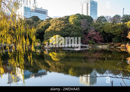 Szenen im Gyeon Park Shinjuku, Tokio, Japan Stockfoto