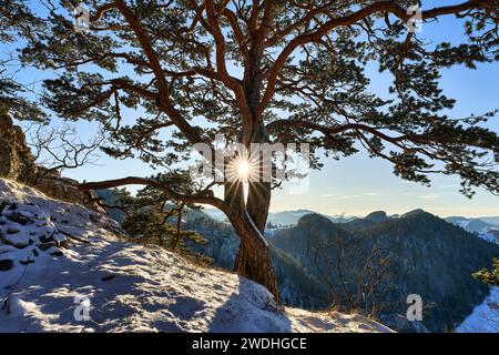 Schweiz, Zullwil SO, Solothurn, Meltingen, Schwarzbubenland, Nunningen, Portiflue, Gilgenberg, Ruine, Winterbild Stockfoto