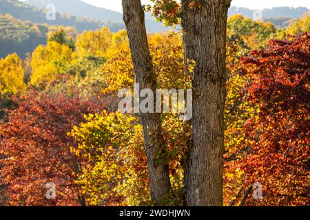 Farbenfroher Sonnenuntergang vom Towns County Park in den Blue Ridge Mountains am Lake Chatuge in Hiawassee, Georgia. (USA) Stockfoto