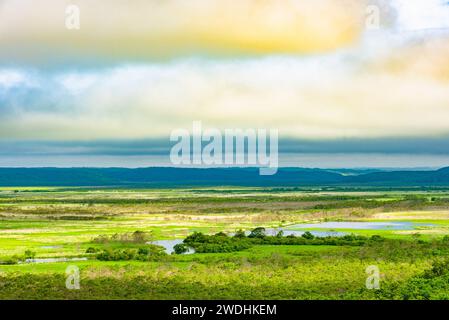 Kushiro Shitsugen Nationalpark in Hokkaido am sonnigen Sommertag. Das größte Feuchtgebiet Japans. Der Park ist bekannt für seine Feuchtgebiete Ökosysteme. Stockfoto