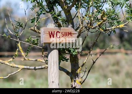 Hölzerner Toilettenpfeil, 500 Meter unter einem Baum, im Aiguamolls Emporda Park, Katalonien, Spanien Stockfoto