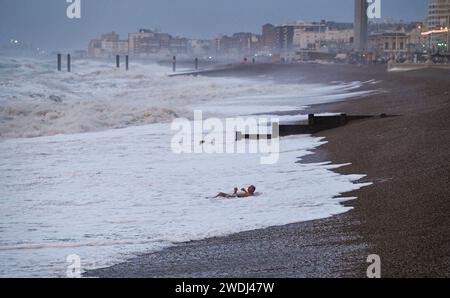 Brighton Großbritannien 21. Januar 2024 - Ein Schwimmer badet heute Morgen in der Brandung an der Brighton-Küste (bekannt als Pilcharding), da der Sturm Isha später durch Großbritannien fliegen wird, wobei bernsteinfarbene Wetterwarnungen ausgegeben werden, wenn die Windvorhersage in einigen Teilen 8 km/h erreichen wird: Credit Simon Dack / Alamy Live News Stockfoto