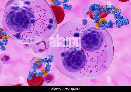 Monoklonale Antikörperbehandlung beim multiplen Myelom (MM) - Nahaufnahme 3D-Illustration Stockfoto