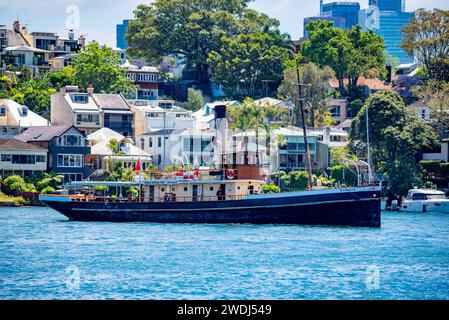 Der kohlebefeuerte Dampfschlepper Waratah aus dem Jahr 1902 macht seinen Weg von seiner Heimat mit der Sydney Heritage Fleet in Roselle Bay nach Pyrmont im Hafen von Sydney Stockfoto