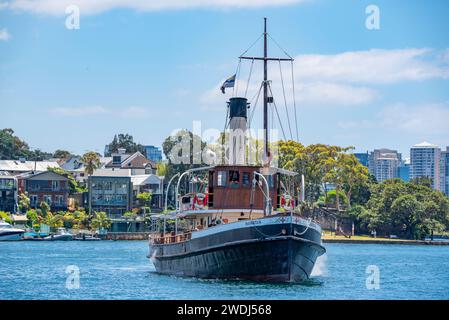 Der kohlebefeuerte Dampfschlepper Waratah aus dem Jahr 1902 macht seinen Weg von seiner Heimat mit der Sydney Heritage Fleet in Roselle Bay nach Pyrmont im Hafen von Sydney Stockfoto