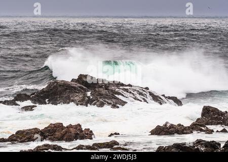 Wellen brechen während eines Herbststurms am Amphitrite Point, Ucluelet, Vancouver Island, British Columbia, Kanada Stockfoto