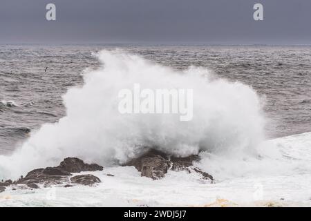 Wellen brechen am Amphitrite Point, Ucluelet, Vancouver Island, British Columbia, Kanada Stockfoto