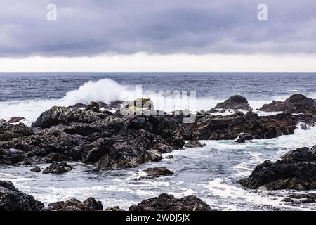 Herbststurm und Surfen am Amphitrite Point, Ucluelet, Vancouver Island, British Columbia, Kanada Stockfoto