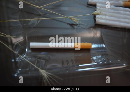 Zwei Zigaretten liegen in Kunststoffverpackungen Stockfoto