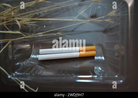 Zwei Zigaretten liegen in Kunststoffverpackungen Stockfoto