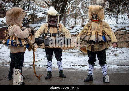 Breznik, Bulgarien - 20. Januar 2024: Maskenfest in Breznik Bulgarien. Menschen mit einer Maske namens Kukeri tanzen und spielen, um dem Bösen Angst zu machen Stockfoto