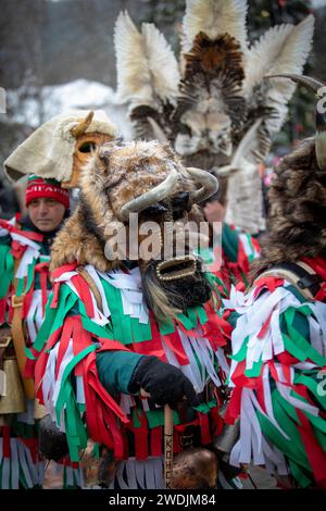 Breznik, Bulgarien - 20. Januar 2024: Maskenfest in Breznik Bulgarien. Menschen mit einer Maske namens Kukeri tanzen und spielen, um dem Bösen Angst zu machen Stockfoto