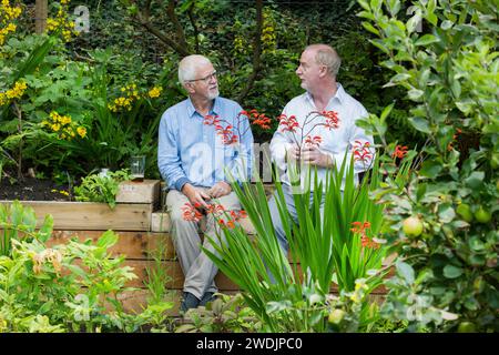 Zwei Männer mittleren Alters oder alten Alters, die auf einem selbstgemachten Holzsitz in einem Garten Bier trinken, mit Krokosmien und Loosestratblüten und Äpfeln auf einem Baum. Stockfoto