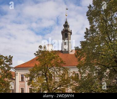 Rathaus in Tartu. Estland Stockfoto