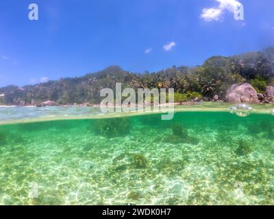 Geteilter Unterwasserblick auf die Küste von Anse Royale. Mahe Island, Seychellen Stockfoto