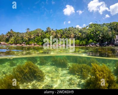 Geteilter Unterwasserblick auf die Küste von Anse Royale. Mahe Island, Seychellen Stockfoto
