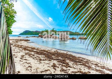 Granitfelsen auf dem Wasser in Anse Takamaka. Praslin Island, Seychellen Stockfoto