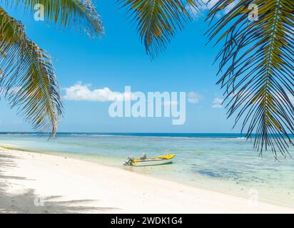 Holzboot und Palmen am Strand von Anse Forbans. Mahe Island, Seychellen Stockfoto