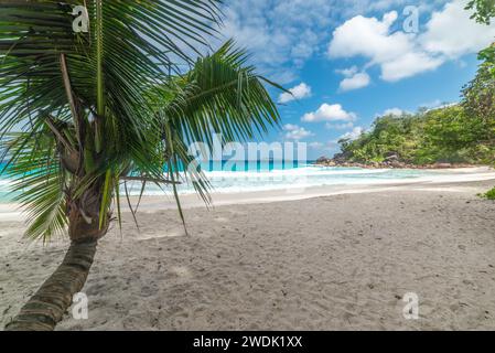 Anse Georgette Beach unter einem trüben Himmel. Praslin Island, Seychellen Stockfoto