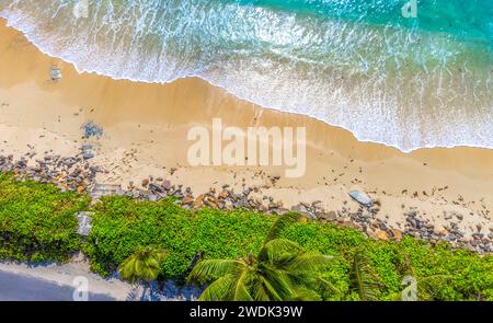 Aus der Vogelperspektive auf den Strand von Anse Takamaka auf der Insel Mahe, Seychellen Stockfoto