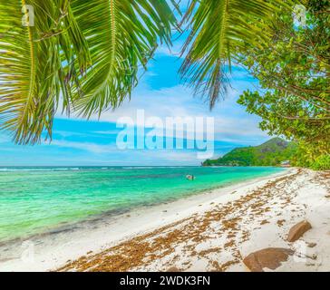 Strand Anse la Blague auf der Insel Praslin, Seychellen Stockfoto