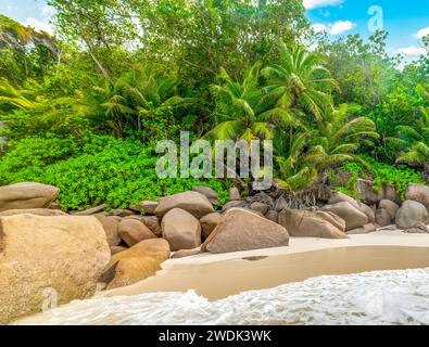Felsen und Palmen am berühmten Strand Anse Georgette auf der Insel Praslin, Seychellen Stockfoto