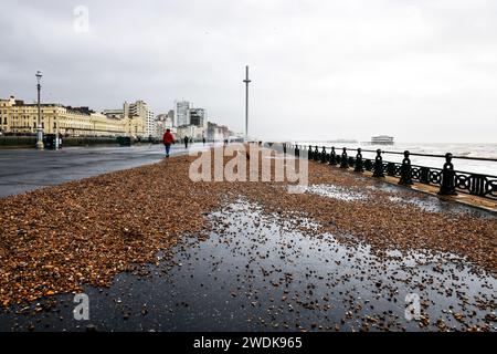 Hove Promenade, Stadt Brighton & Hove, East Sussex, Großbritannien. Steine, die von Sturm Isha am Strand auf die Hove Promenade geworfen wurden, während der Sturm Isha die Südküste von Hove traf. Januar 2024. David Smith/Alamy Live News Stockfoto