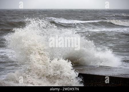 Brighton, Stadt Brighton & Hove, East Sussex, Großbritannien. Seehuchsen, die von Sturm Isha bei Flut zu Beginn des Sturms Isha geschlagen wurden, der die Südküste bei Brighton & Hove trifft. Januar 2024. David Smith/Alamy Live News Stockfoto