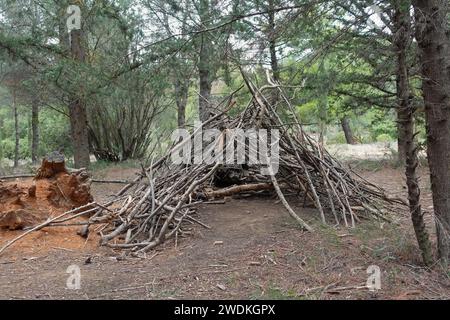 Hölzerne Zeltkonstruktion aus Ästen im Wald. Stockfoto