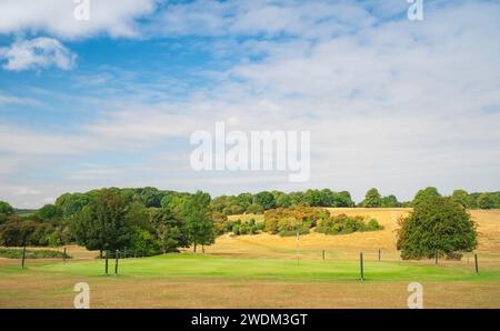 Beverley, Yorkshire, Großbritannien - Blick auf den öffentlichen Park von Westwood während einer Zeit des Zuges mit trockenen Gräsern und Bäumen unter blauem Himmel in Beverley, Großbritannien. Stockfoto