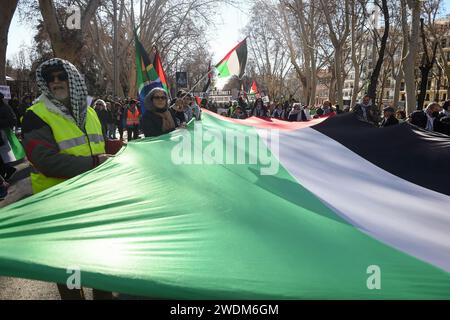 Madrid, Spanien. Januar 2024. Demonstranten halten während einer propalästinensischen Demonstration eine große palästinensische Flagge. Hunderte von Demonstranten, die palästinensische Fahnen und Banner gegen Israel tragen, versammelten sich am Bahnhof Atocha und begeben sich anschließend zum Cibeles-Platz in Madrid, Spanien, um für einen Waffenstillstand in Gaza zu rufen. (Credit Image: © Gustavo Valiente/SOPA Images via ZUMA Press Wire) NUR REDAKTIONELLE VERWENDUNG! Nicht für kommerzielle ZWECKE! Stockfoto