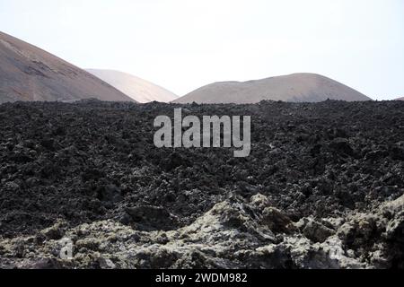 Blick auf den Timanfaya Nationalpark Lanzarote Kanarische Inseln. Weiße Flechte im Vordergrund Stockfoto