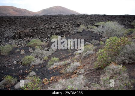 Blick auf den Timanfaya Nationalpark Lanzarote Kanarische Inseln Stockfoto