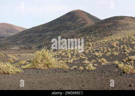 Blick auf den Timanfaya Nationalpark Lanzarote Kanarische Inseln Stockfoto