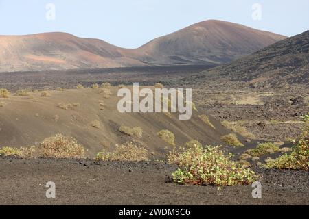 Blick auf den Timanfaya Nationalpark Lanzarote Kanarische Inseln Stockfoto