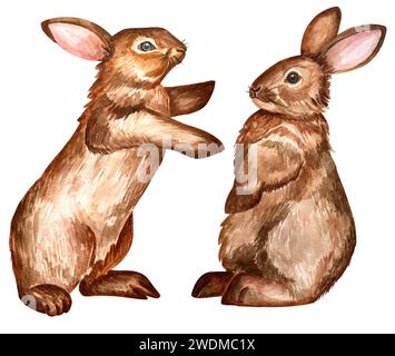 Set aus zwei Kaninchen- oder Hasenaquarellen isoliert auf weißem Hintergrund. Stockfoto