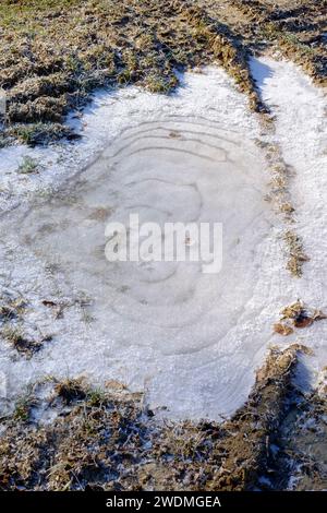 Komplizierte Wirbel bilden Muster in großen gefrorenen Pfützen ländliche Gasse zala County ungarn Stockfoto