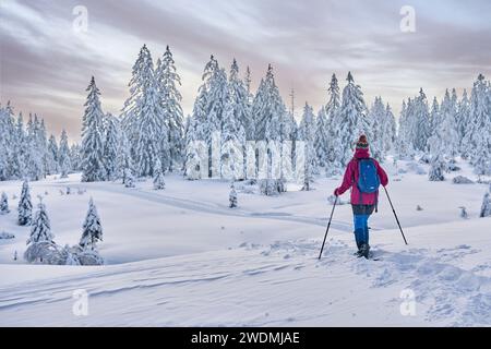 Schöne und aktive Seniorenwanderin mit Schneeschuhen im Tiefschnee im Hochhaedrich-Gebiet des Bregenzer Waldes in Vorarlberg, Österreich Stockfoto