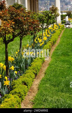 Blühende Schönheit: Bezaubernder Garten mit Büschen, Tulpen und üppigem Grün in Istanbul Stockfoto