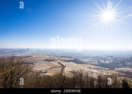 Wien, Österreich in Europa. Panoramablick auf die Stadt und die donau vom Kahlenberg. Wunderschöne Winterlandschaft tagsüber. Stockfoto