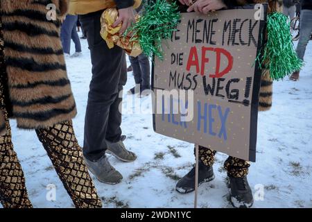 Berlin, Deutschland - 21. Januar 2024: Demonstrant hält ein Anti-AfD-Zeichen auf Protest gegen Rechtsextremismus vor dem Reichstagsgebäude. Stockfoto