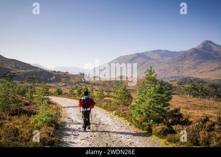Indische südasiatische Frau wandert allein durch die Landschaft der schottischen Highlands. Glen Affric, Schottland, Großbritannien Stockfoto