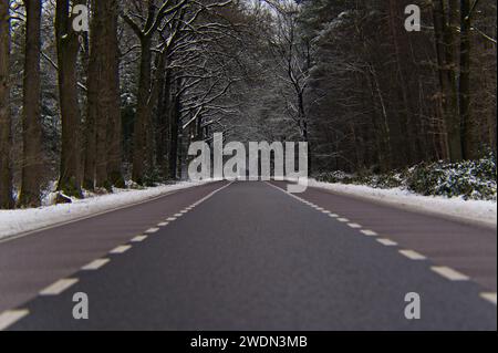 Horizontale Aufnahme einer langen, leeren Straße durch verschneiten Wald. Flacher Blick über eine Asphaltstraße mit schneebedeckten Bäumen. Niederländische Winterlandschaft Stockfoto