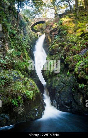 Aira Force, berühmter Wasserfall mit Steinbrücke im Lake District, Cumbria, Großbritannien Stockfoto