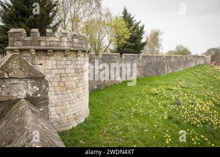 Stadtmauern von York. Diese Festungsmauern sind die längsten erhaltenen Stadtmauern Englands. York, Großbritannien Stockfoto